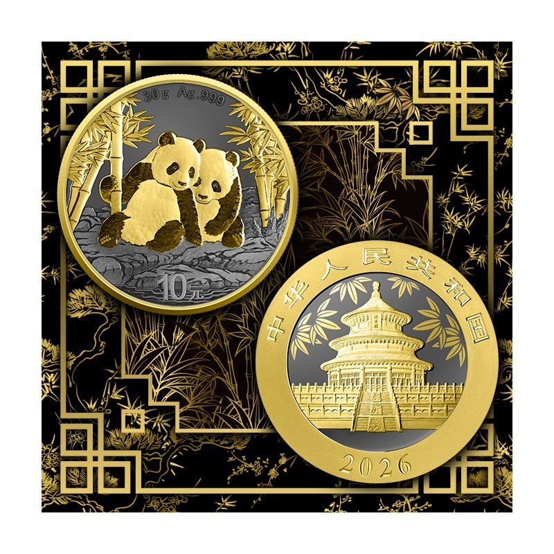 Panda 30 g Golden Ring China 2026. Srebrna moneta - limitowany nakład